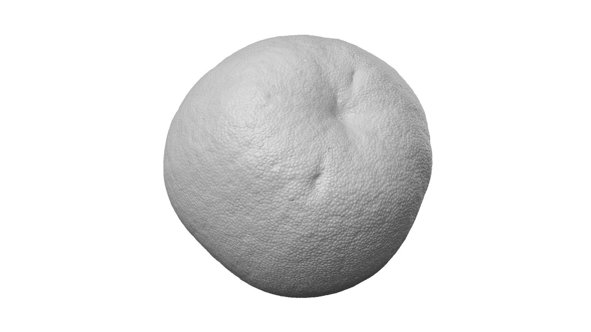 Pomelo Citrus maxima - Extreme Definition Scanned 3D model_9