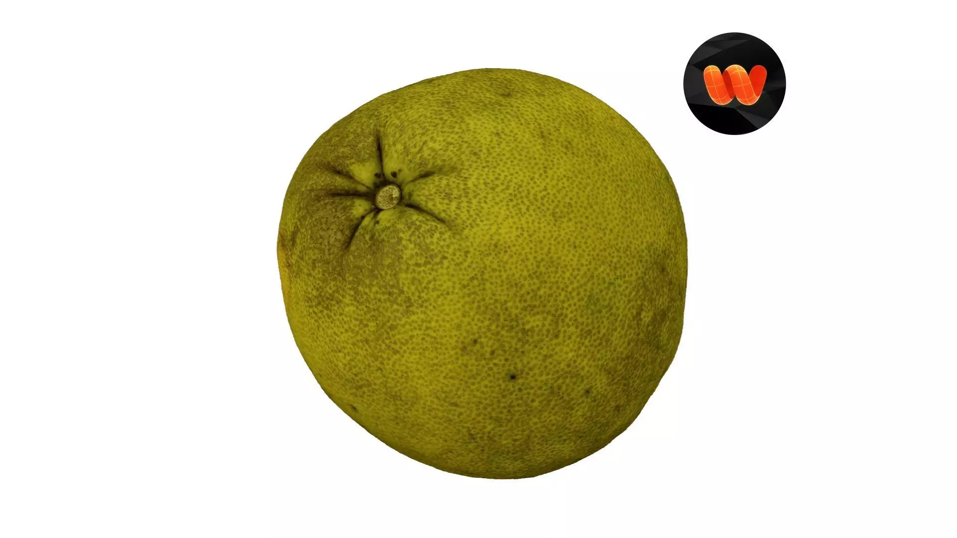 Pomelo Citrus maxima - Extreme Definition Scanned 3D model_0