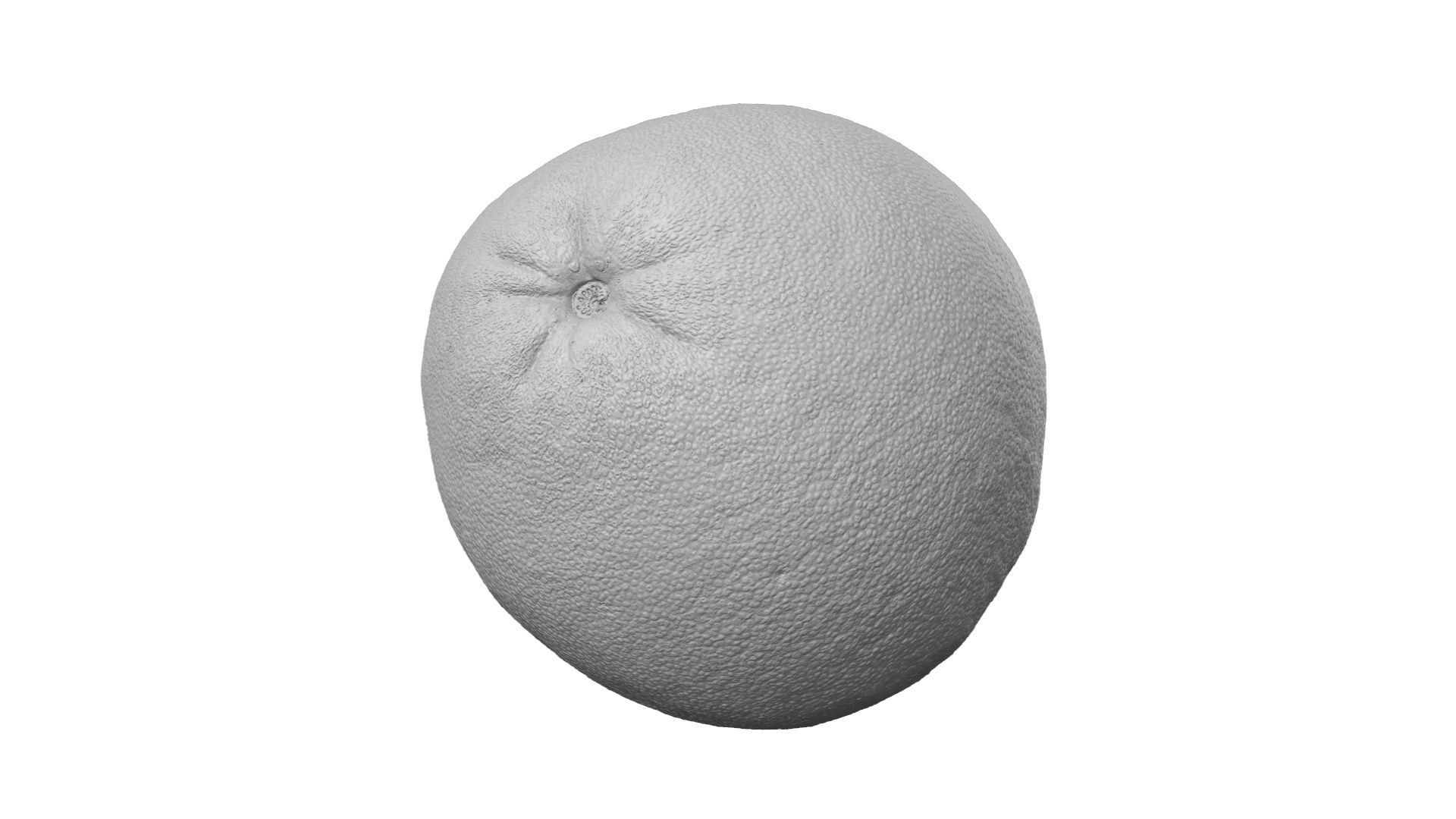 Pomelo Citrus maxima - Extreme Definition Scanned 3D model_2