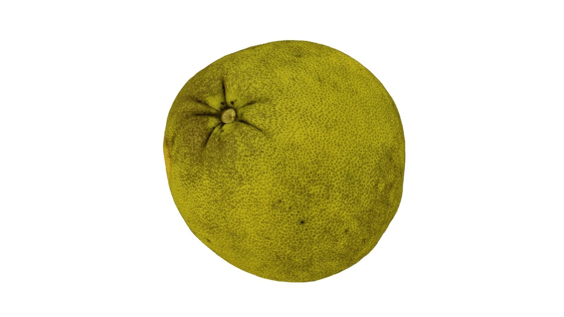 Pomelo Citrus maxima - Extreme Definition Scanned 3D model_3