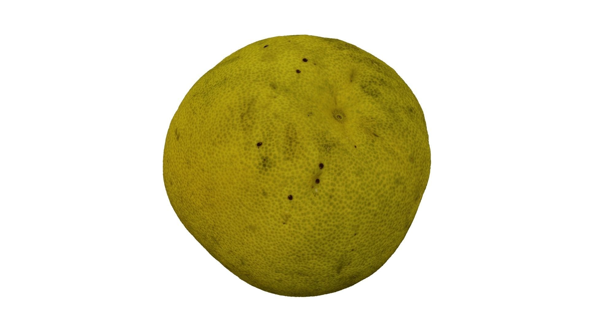 Pomelo Citrus maxima - Extreme Definition Scanned 3D model_8