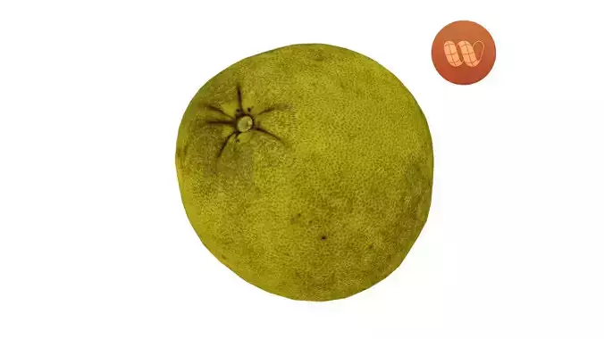 Pomelo Citrus maxima - Real-Time Scanned