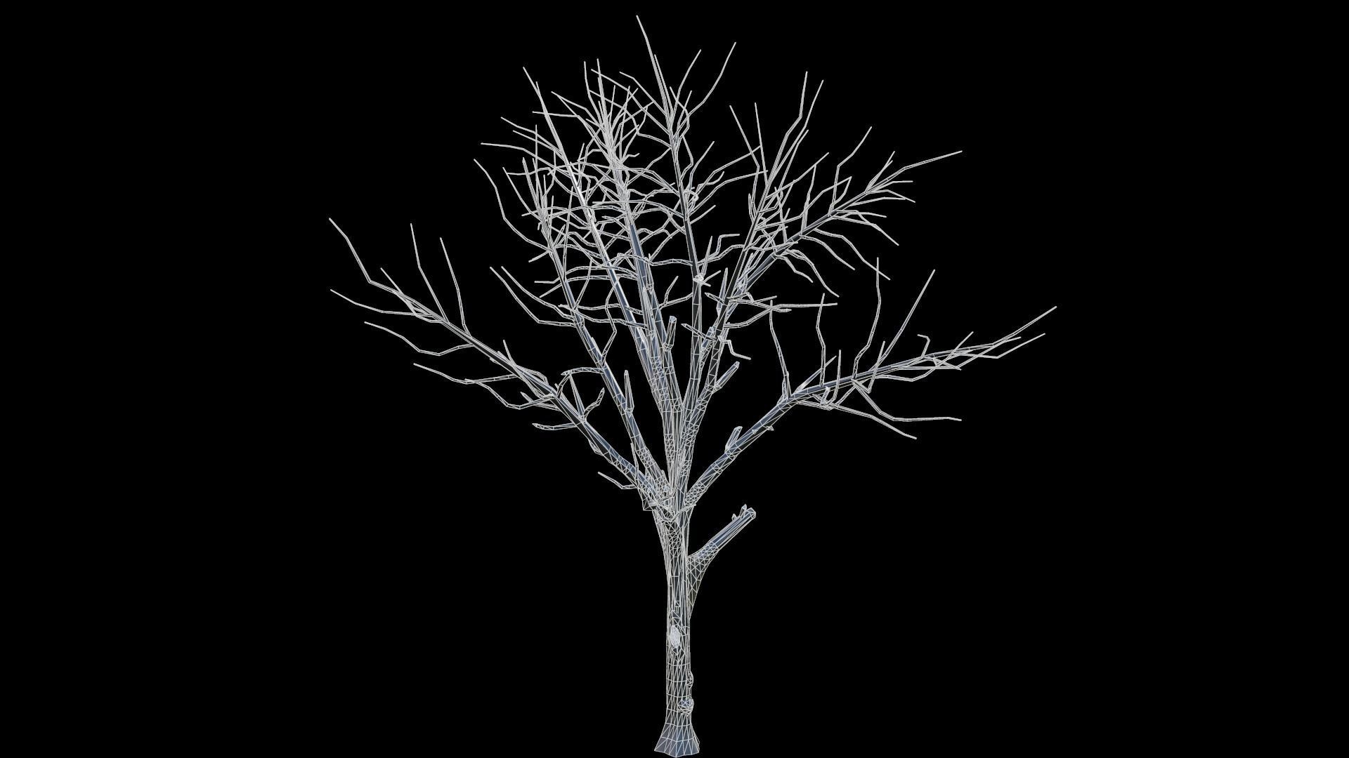 Broadleaf 002 Low-poly 3D model_8