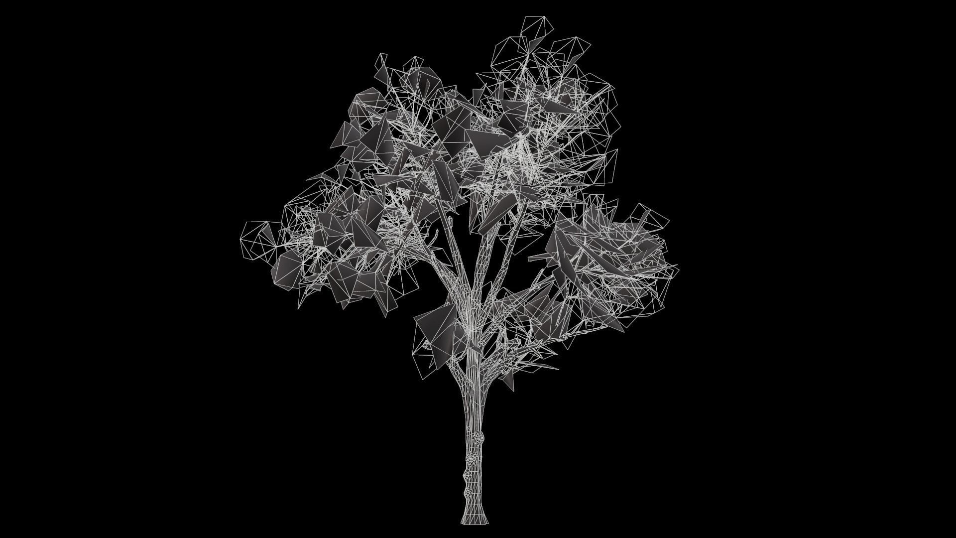 Broadleaf 003 Low-poly 3D model_12