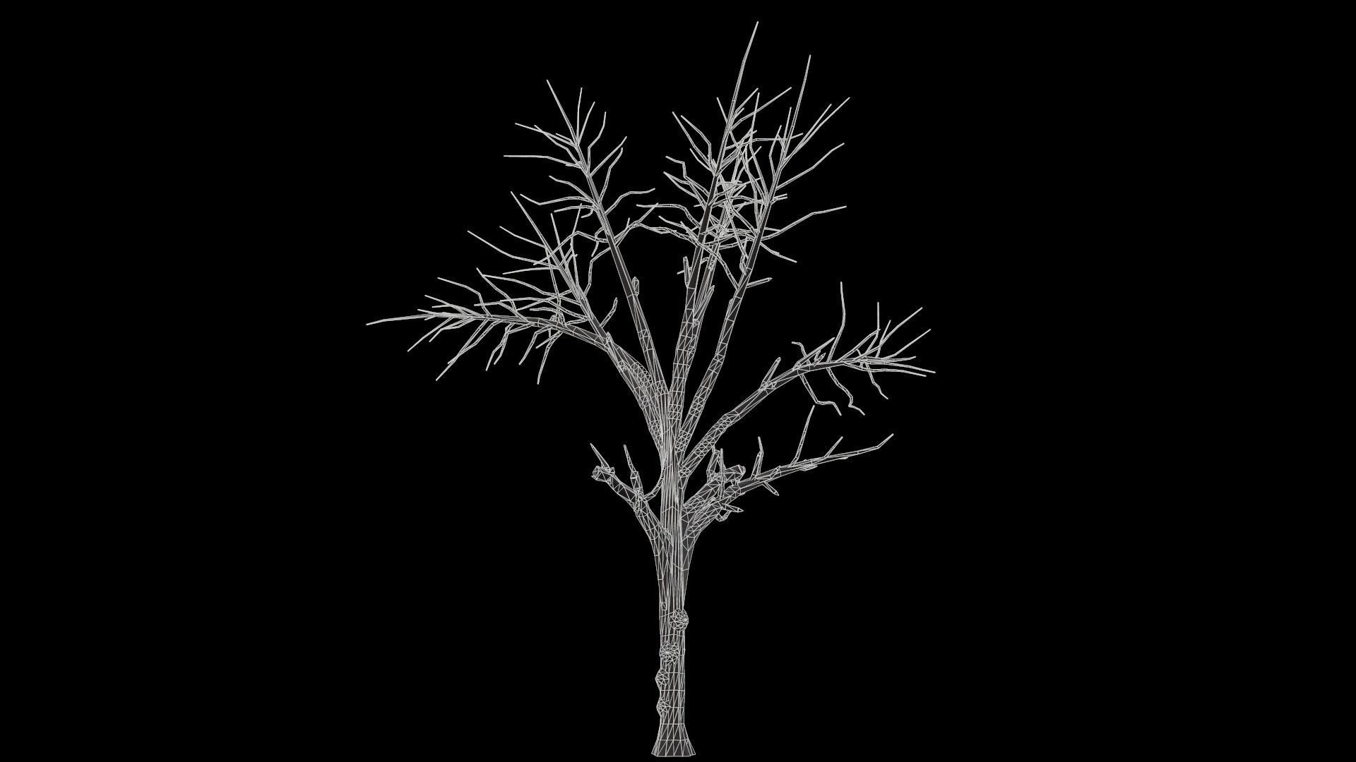 Broadleaf 003 Low-poly 3D model_11