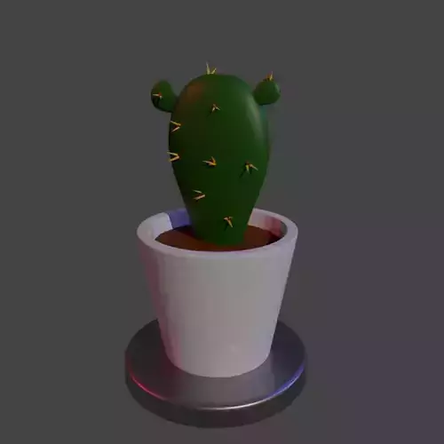 home cactus