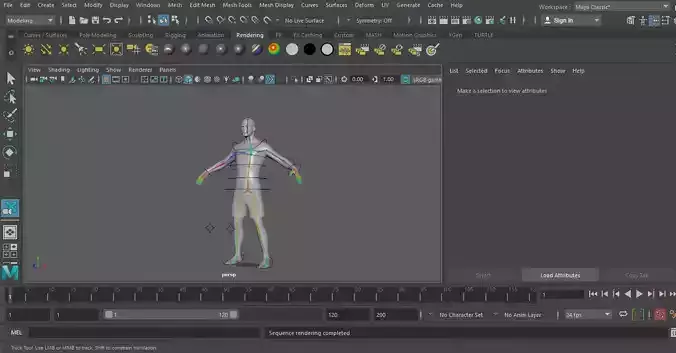 Rigged Man Full 3D model