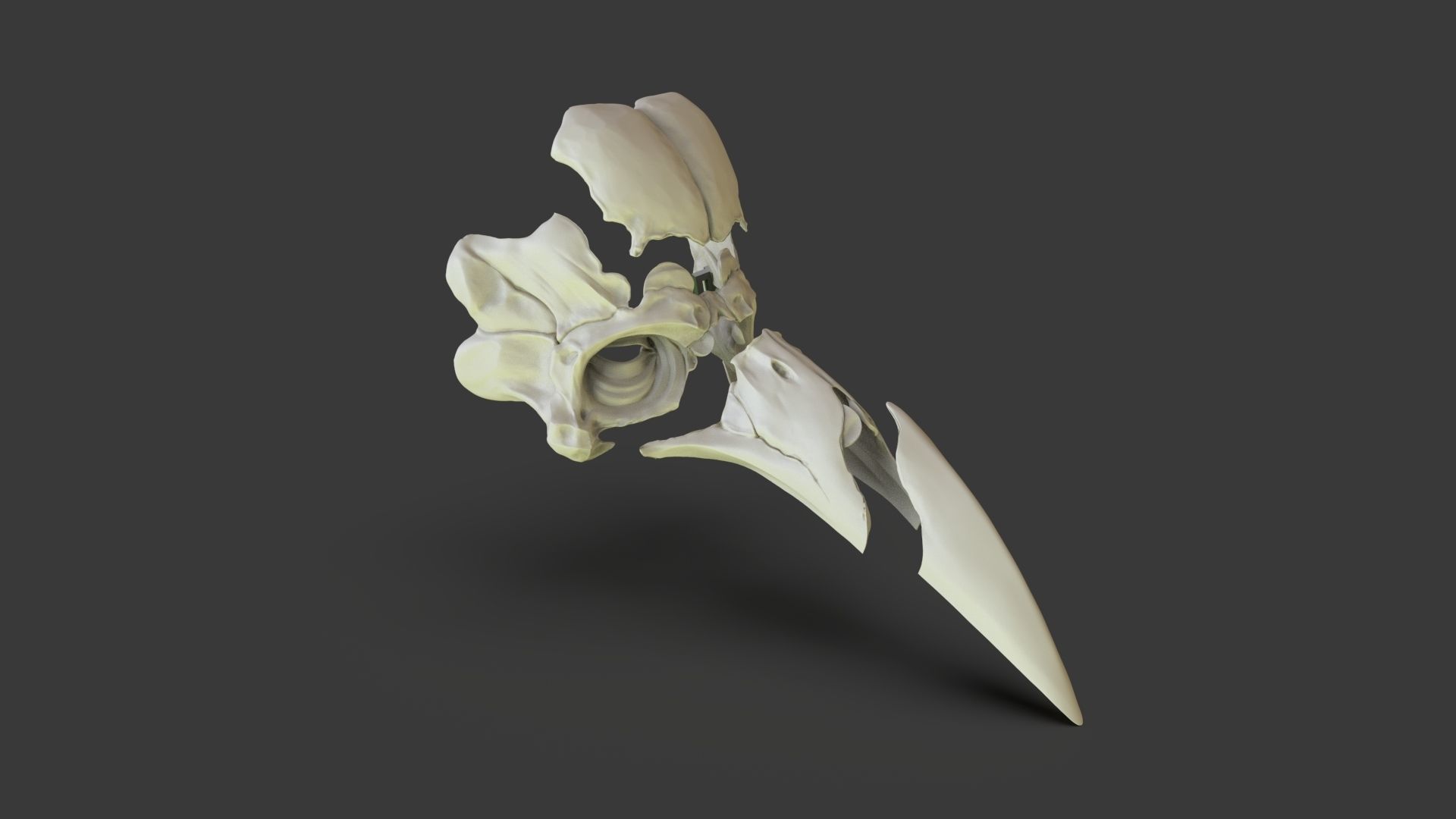 Skeleton Plague Doctor Mask 3D print model_3