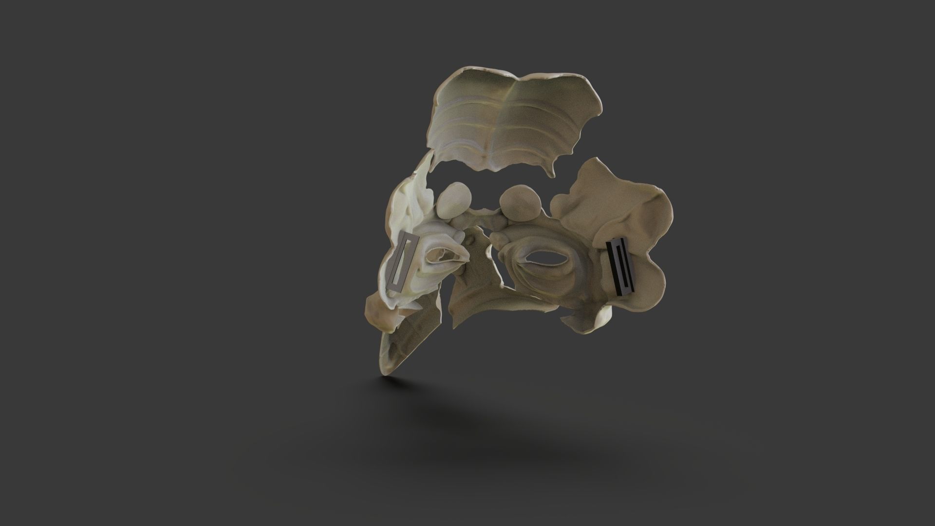 Skeleton Plague Doctor Mask 3D print model_4