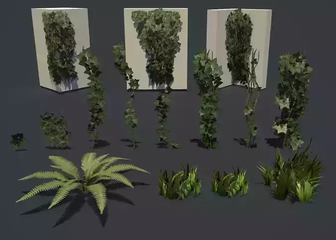 Vegetation ivy plants in shapes and sizes Low-poly 3D model