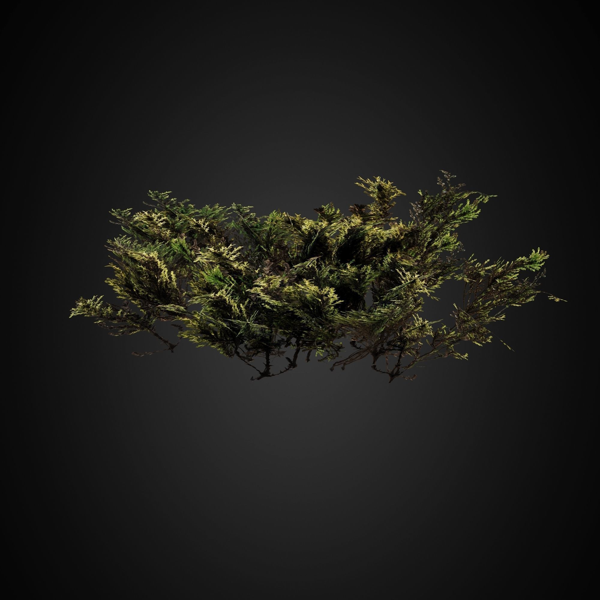 HelliosVegetation Grass 01 Forest Pack CoronaVray 3D model_9