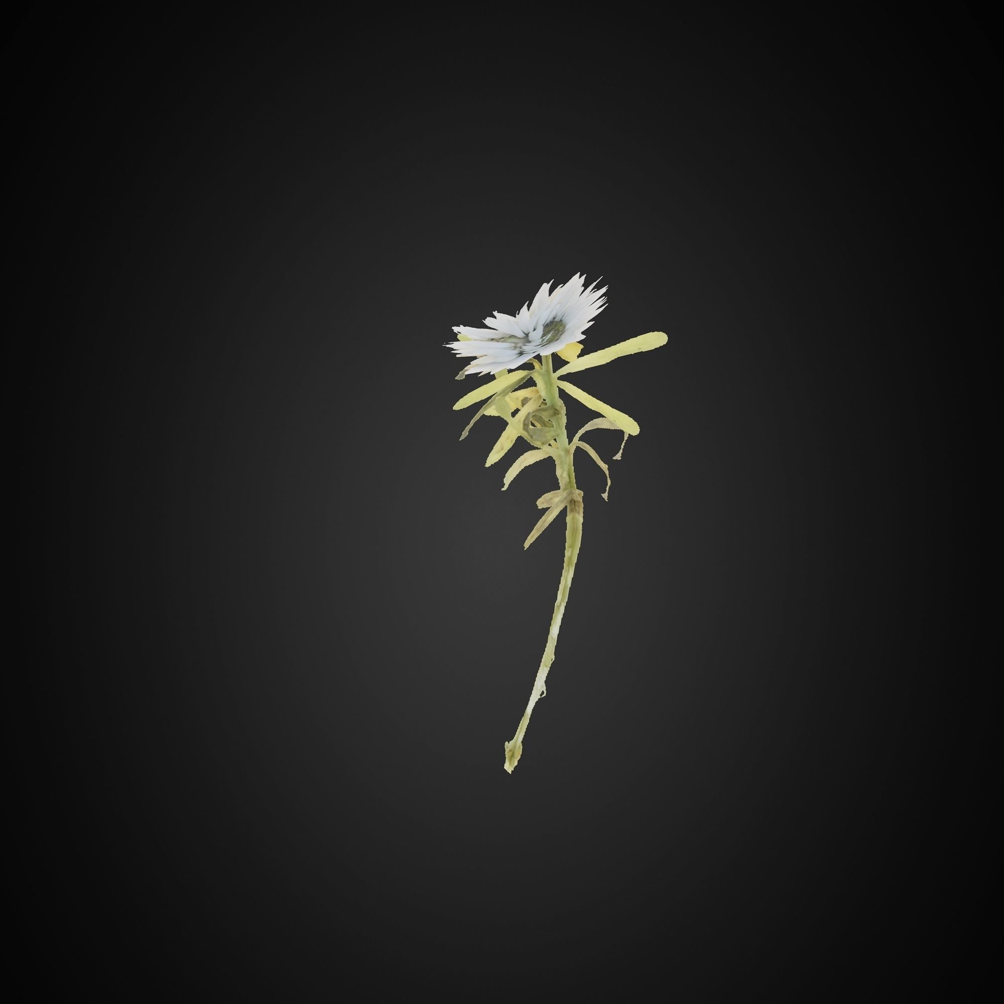 HelliosVegetation Grass 01 Forest Pack CoronaVray 3D model_2