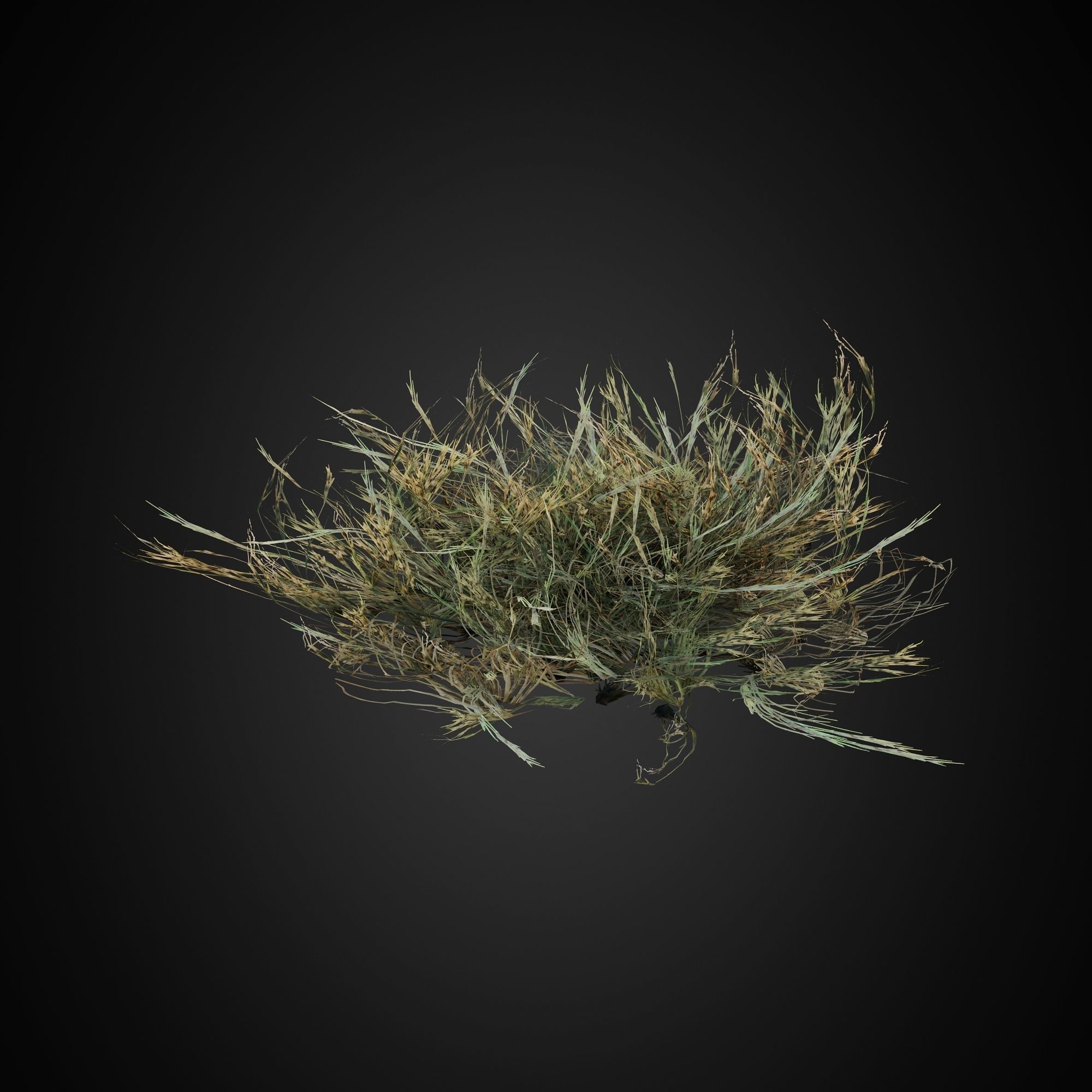 HelliosVegetation Grass 01 Forest Pack CoronaVray 3D model_7