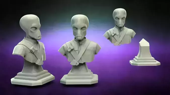 Star Wars Shriv bust