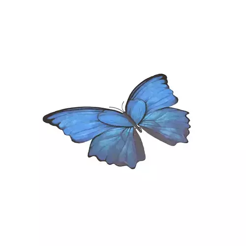 Butterfly v1 001