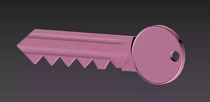 Basic Key Model Free 3D model