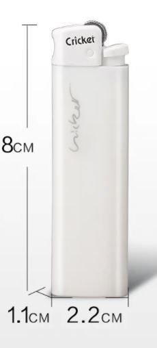 Cricket case 3D print model_1