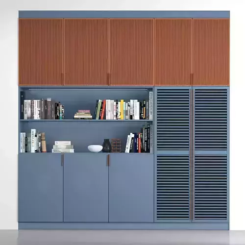 Cabinet with shelves 01