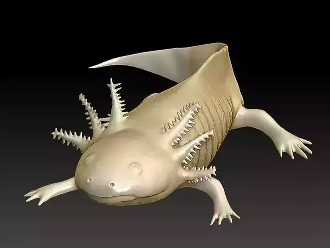 Axolotl 3D print model