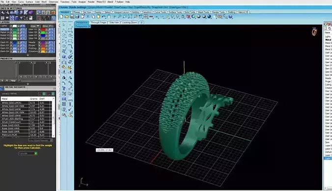 Ring 3D print model computer screen showing