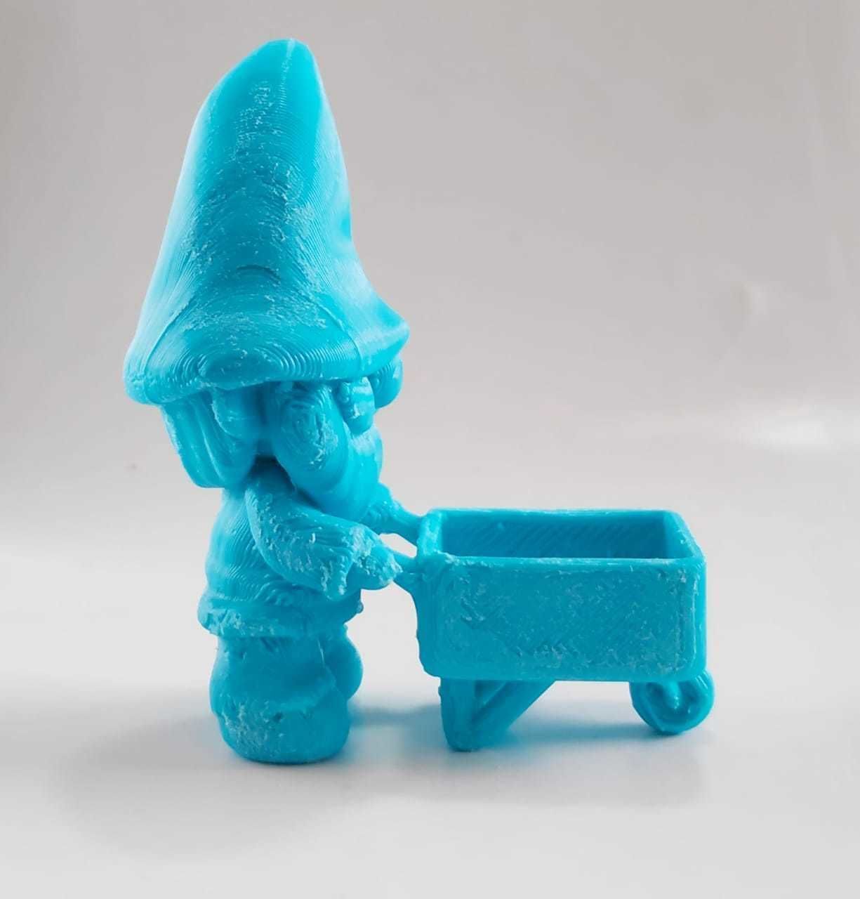 Gnome Pushcart 3D print model_11