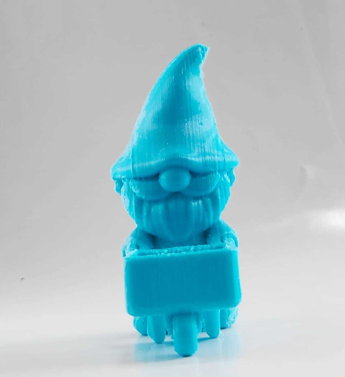 Gnome Pushcart 3D print model_9