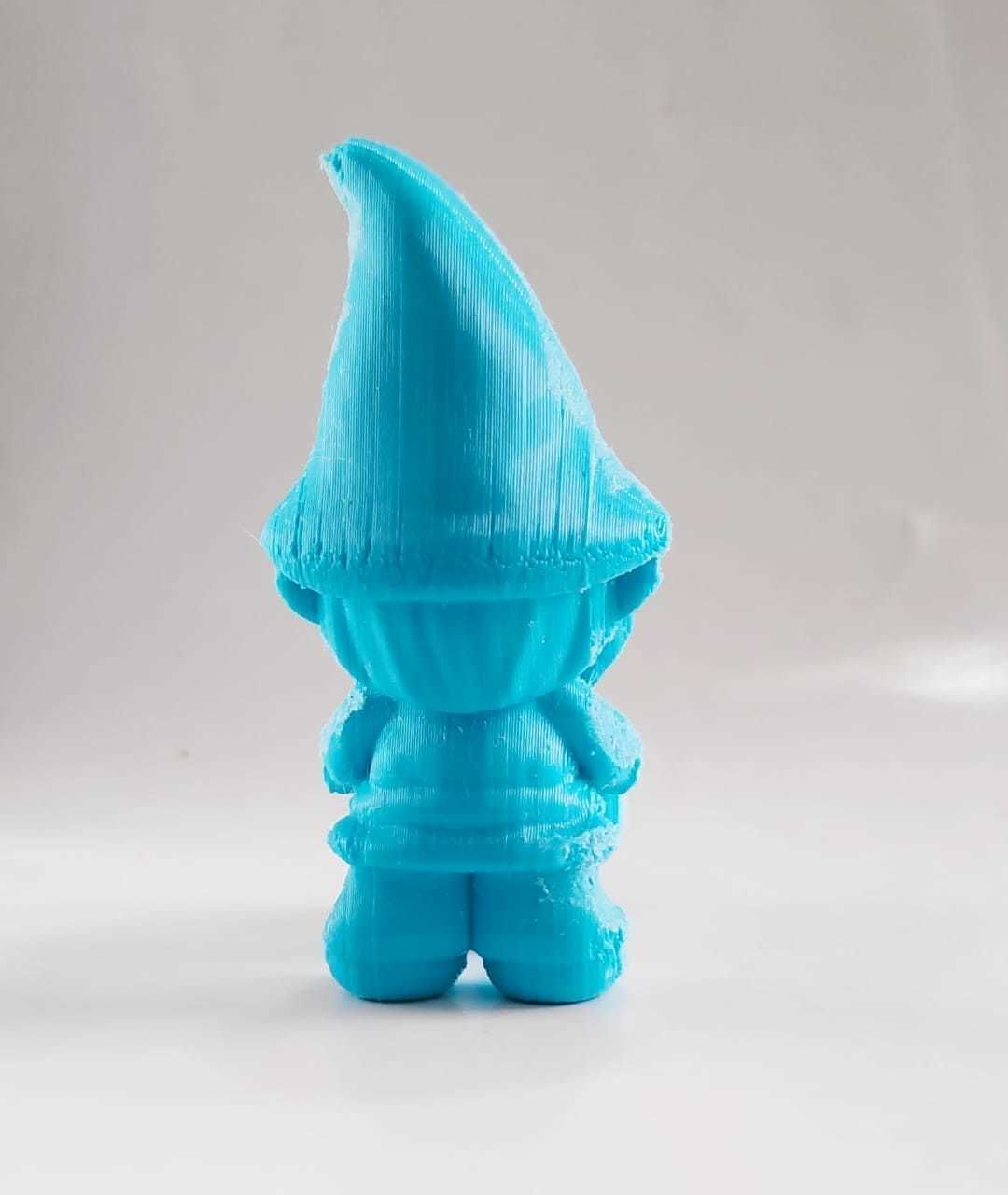 Gnome Pushcart 3D print model_7