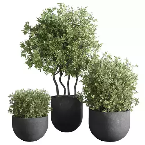 collection outdoor plant 26 concrete vase