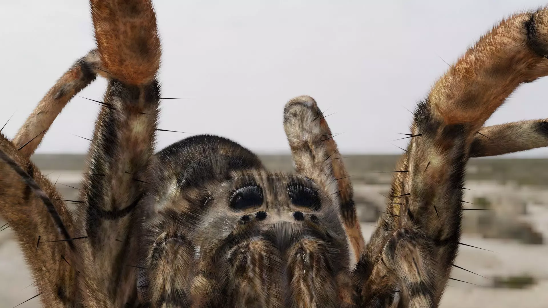 Spider Model giant in desert - 3D model_0