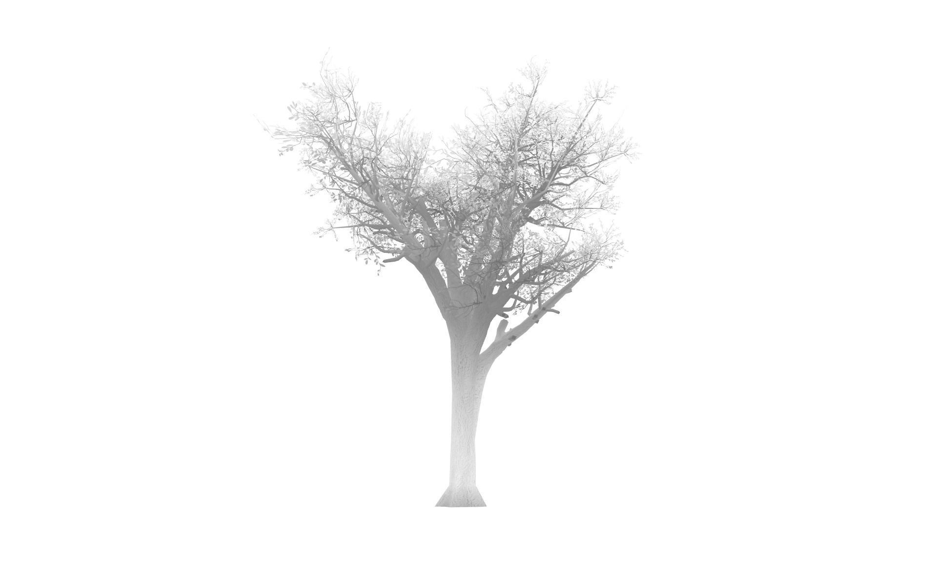 Broadleaf 004 Low-poly 3D model_8