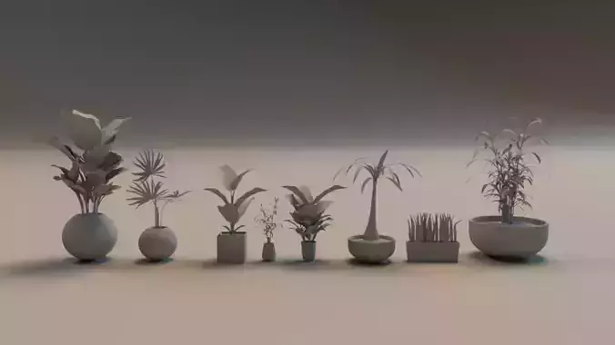 Office Plants indoor Uved Low Mid Poly