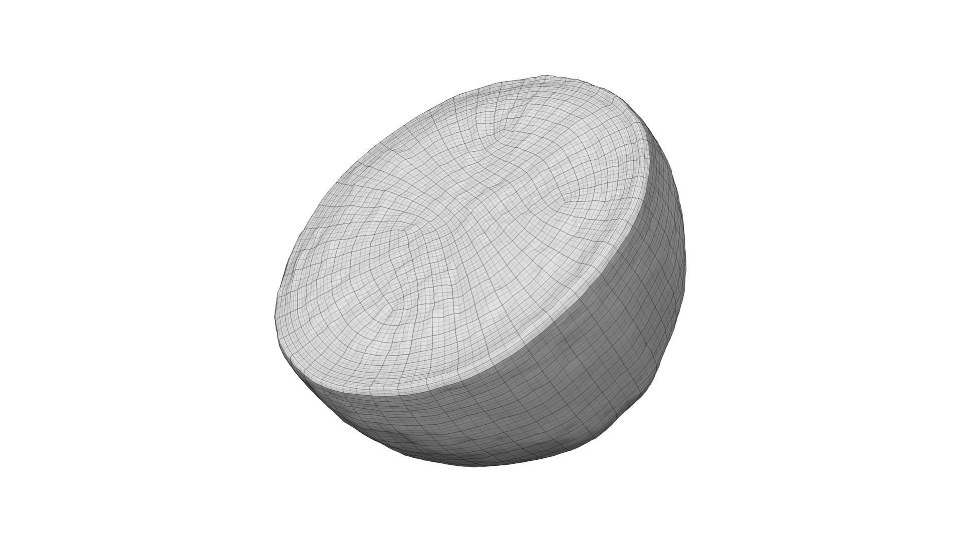 Half a Lemon - Extreme Definition Scanned 3D model_7