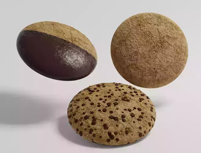 BISCUITS cookie with chocolate chips