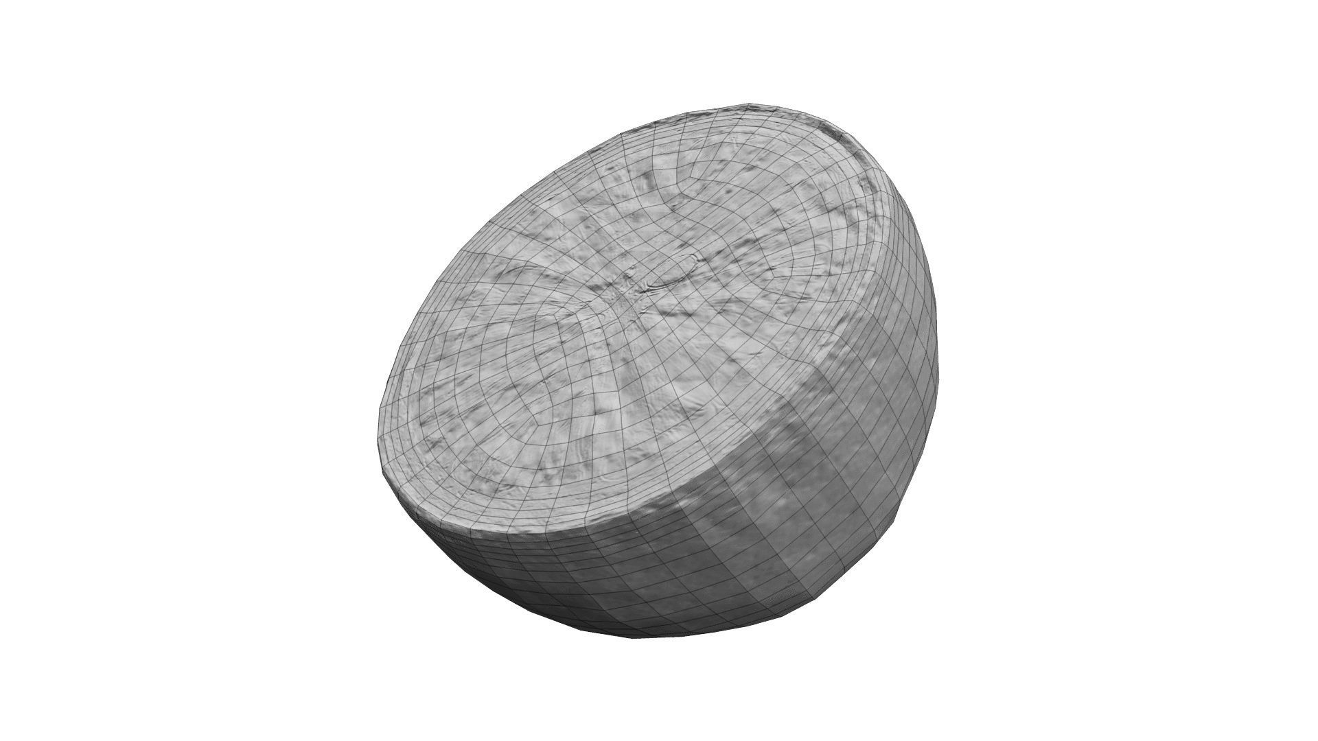 Half a Lemon - Half a Lemon Scanned Low-poly 3D model_2