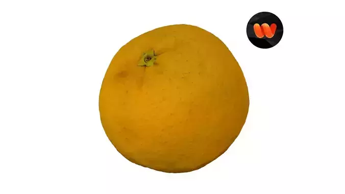 Bahia Orange - Extreme Definition Scanned