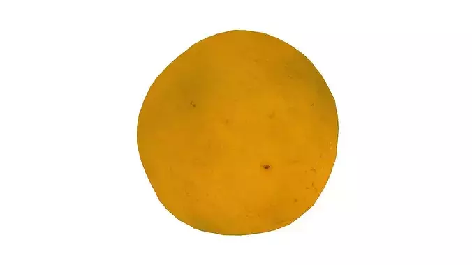 Bahia Orange - Real-Time Scanned Low-poly 3D model 4