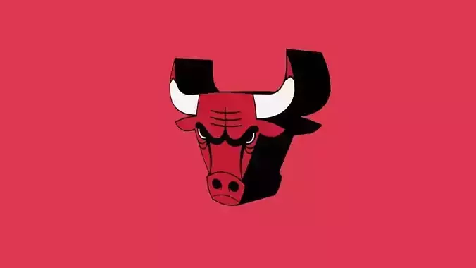 Chicago Bulls Team Logo