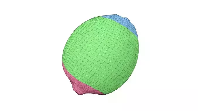 Lemon - Extreme Definition Scanned 3D model 4