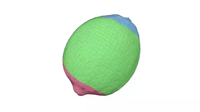 Lemon - Extreme Definition Scanned 3D model 6