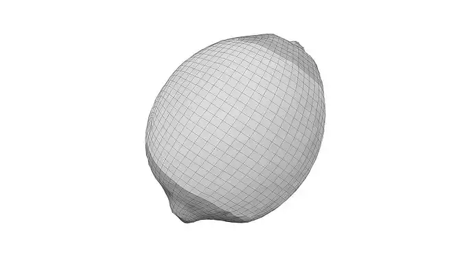 Lemon - Extreme Definition Scanned 3D model 5