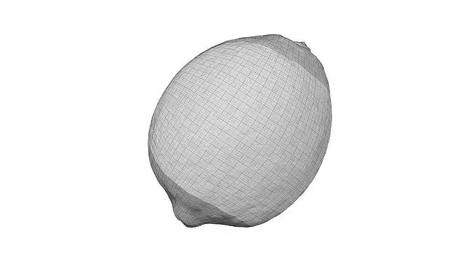 Lemon - Extreme Definition Scanned 3D model 7