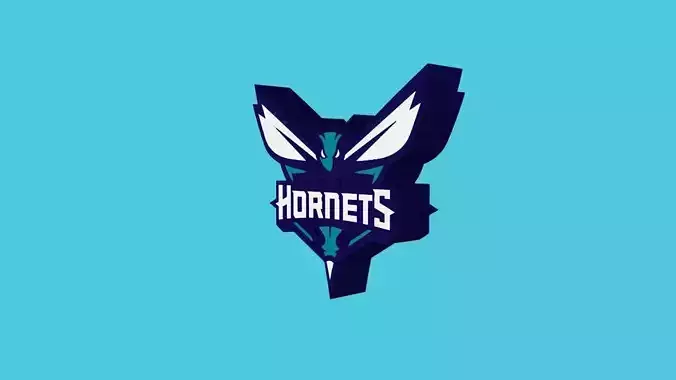 Charlotte Hornets Team Logo