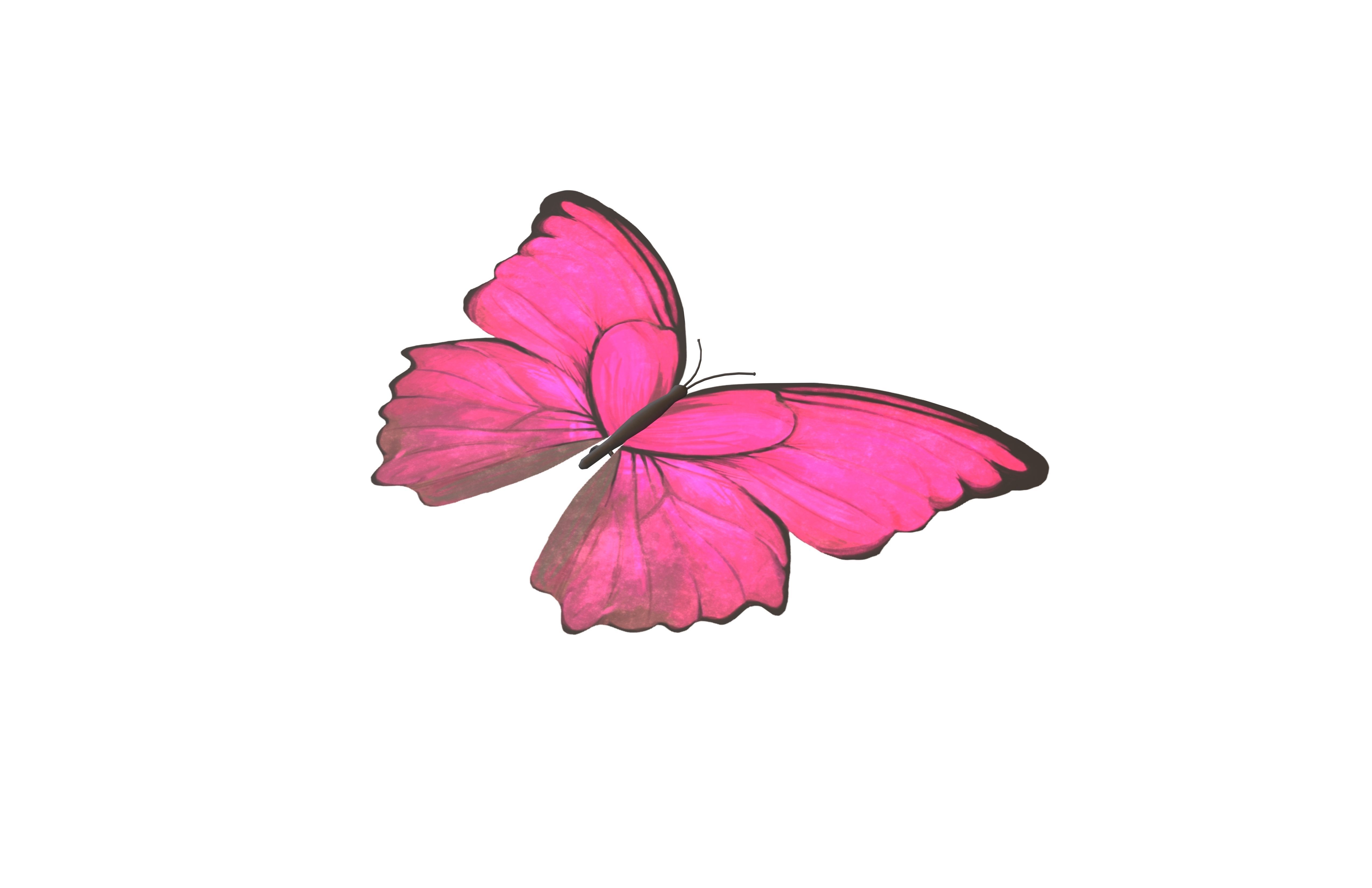 Butterfly v1 002 Low-poly 3D model_3