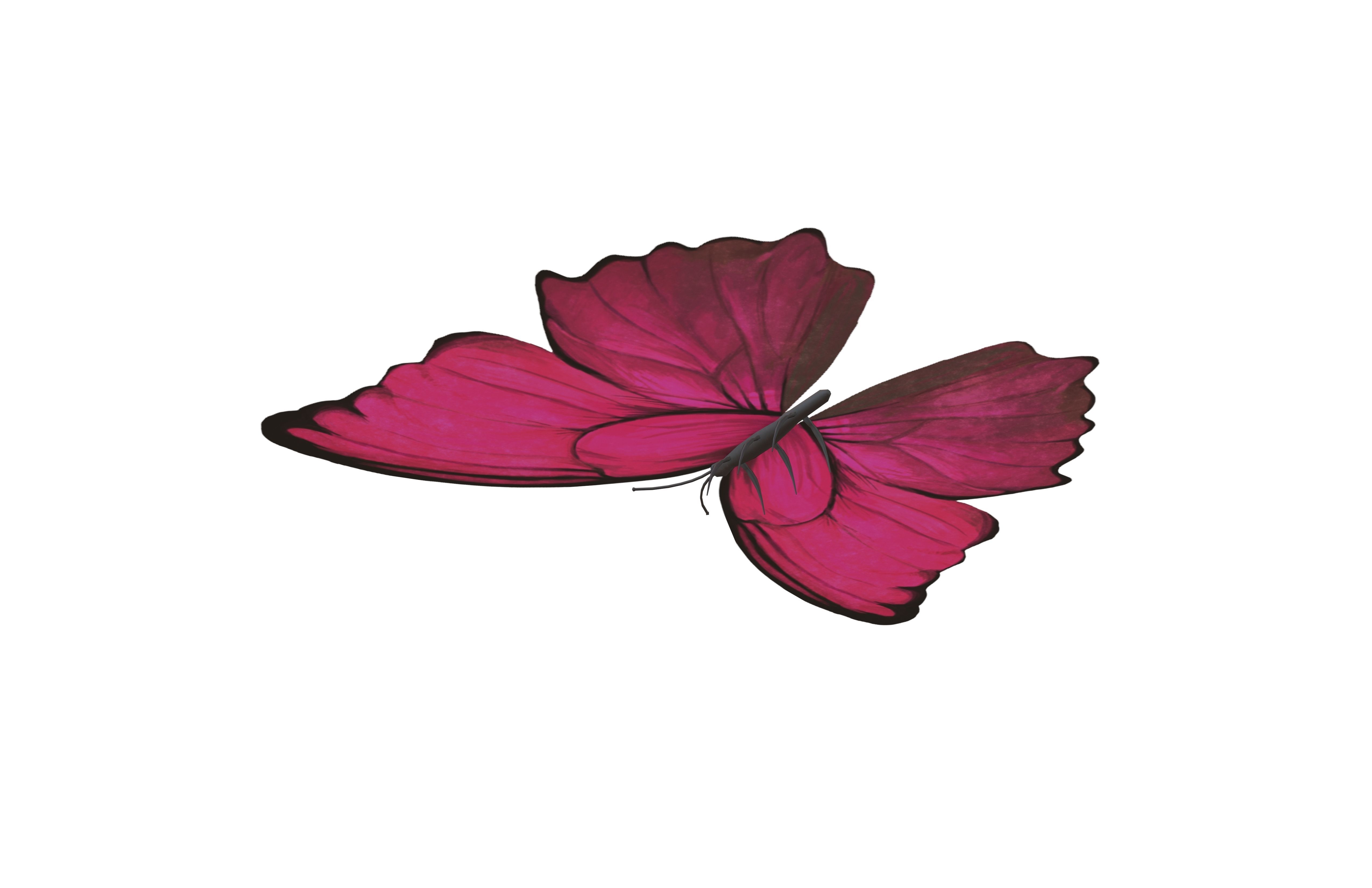 Butterfly v1 002 Low-poly 3D model_4