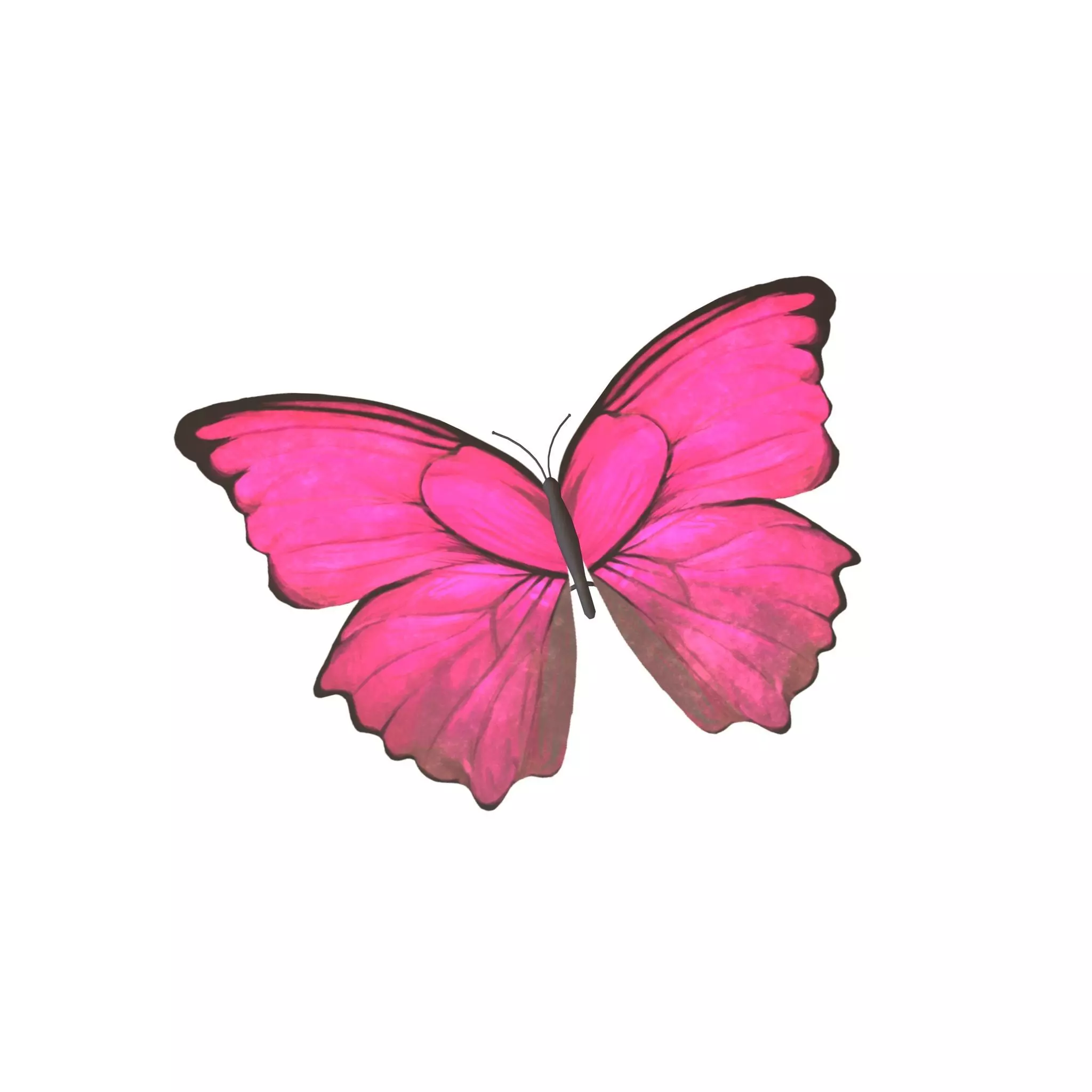 Butterfly v1 002 Low-poly 3D model_0