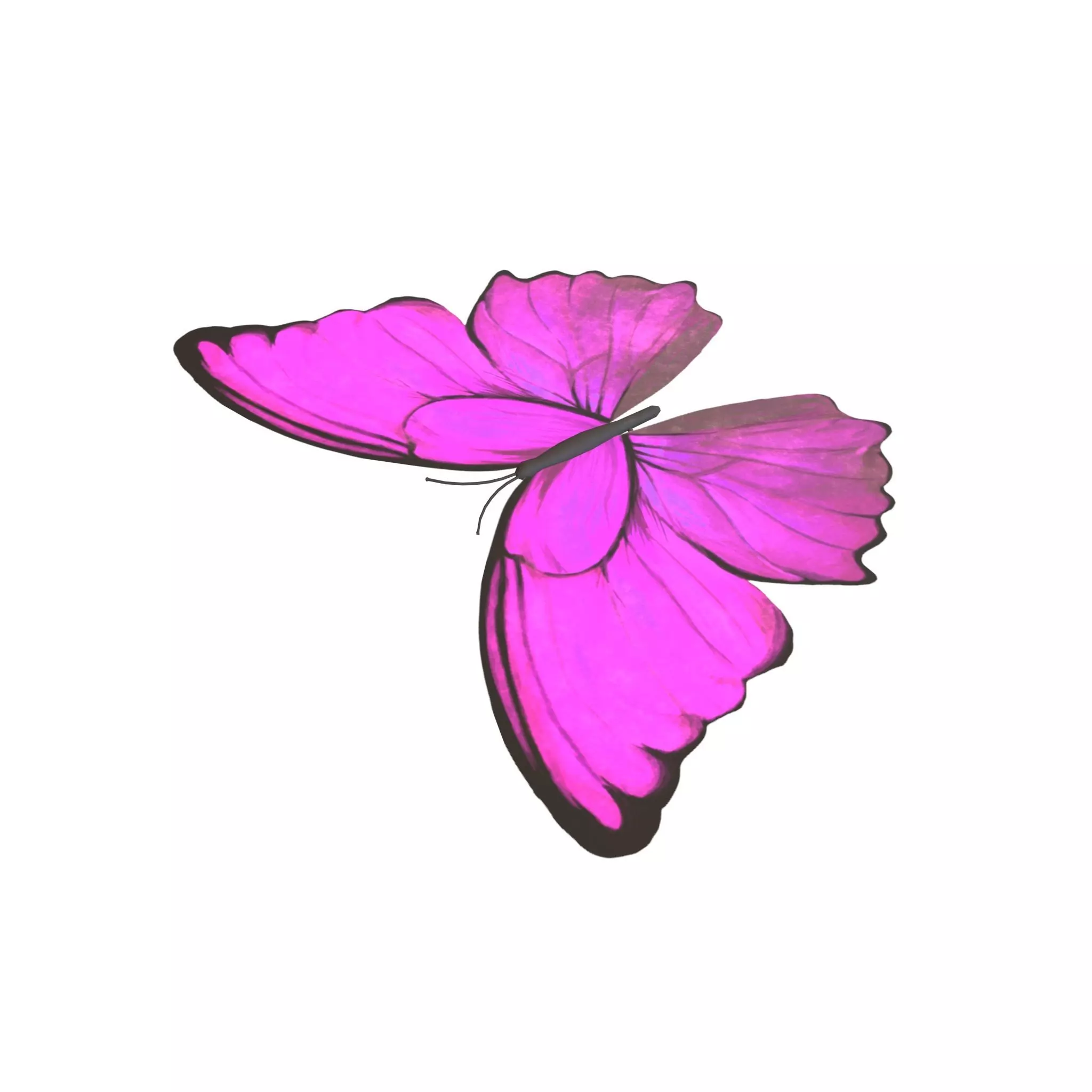 Butterfly v1 003 Low-poly 3D model_0