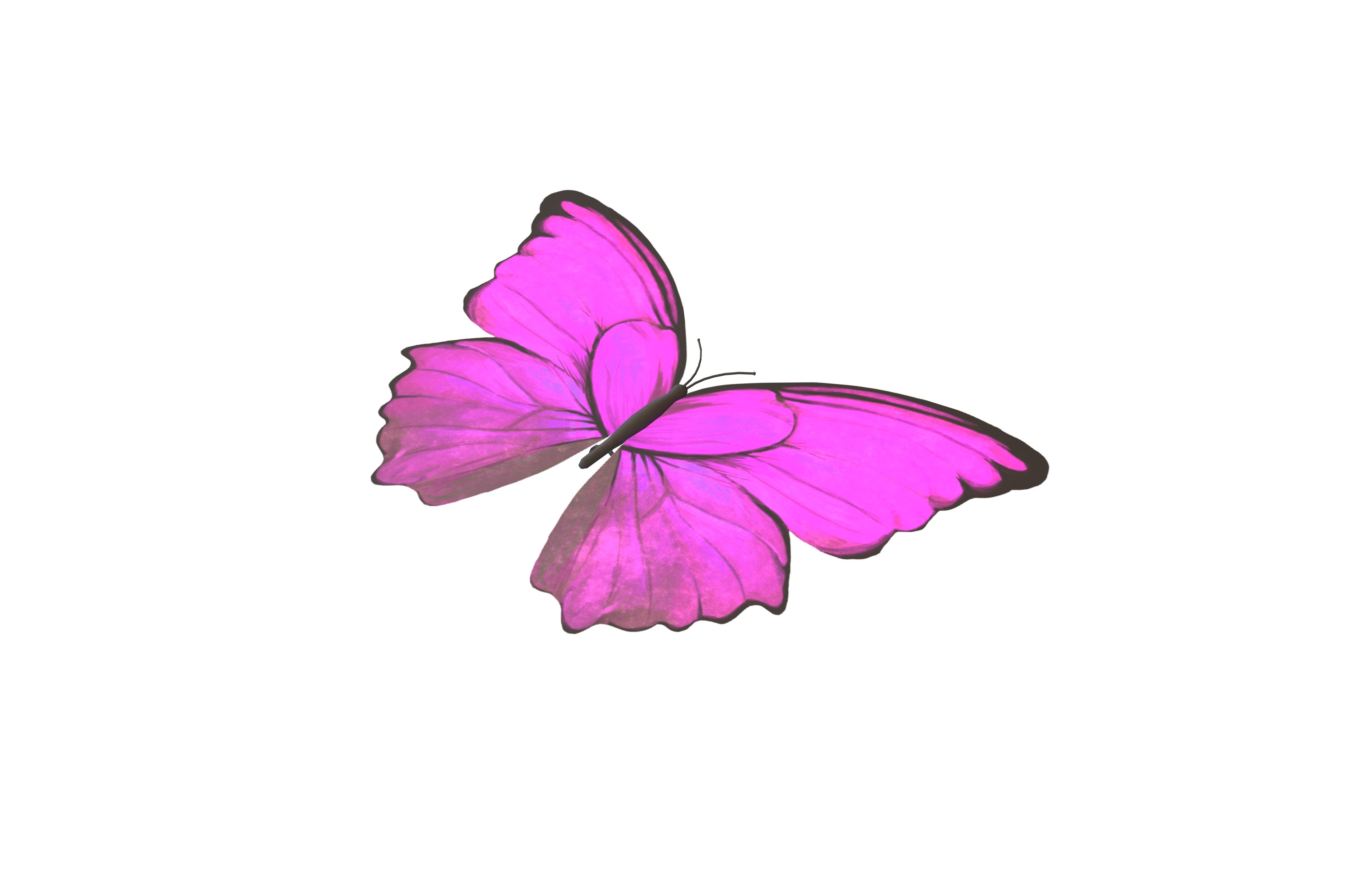 Butterfly v1 003 Low-poly 3D model_3