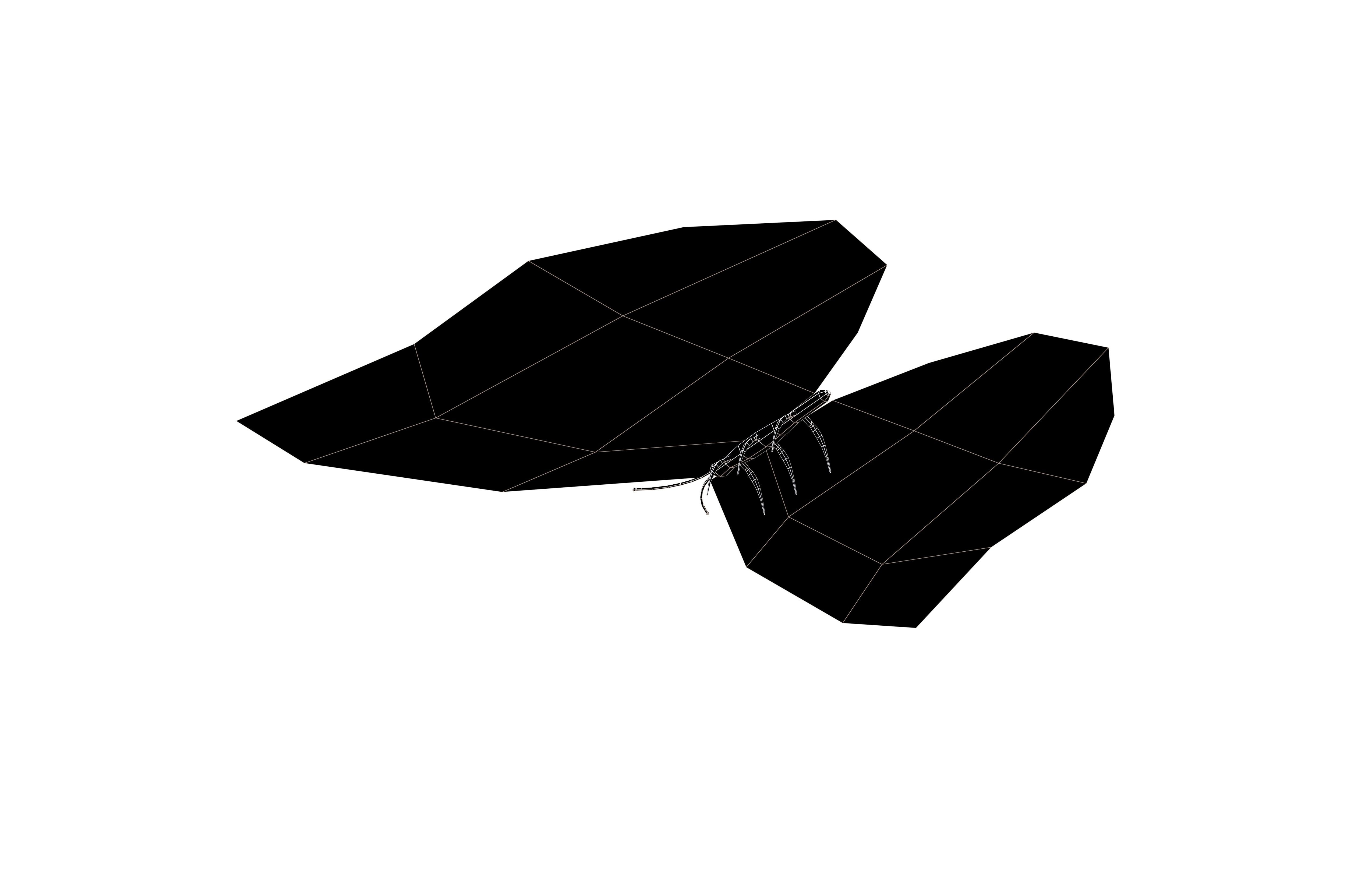 Butterfly v1 003 Low-poly 3D model_8