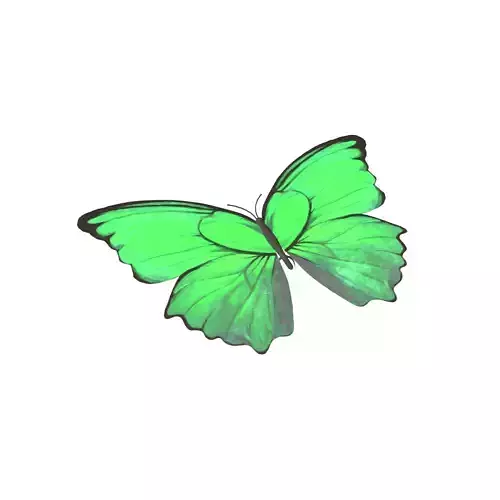 Butterfly v1 004