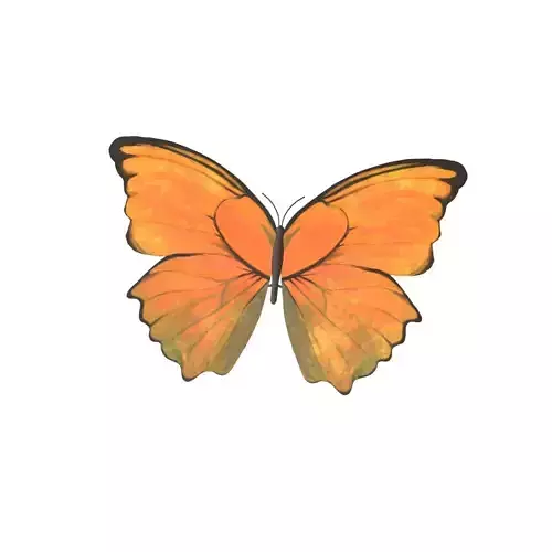 Butterfly v1 006